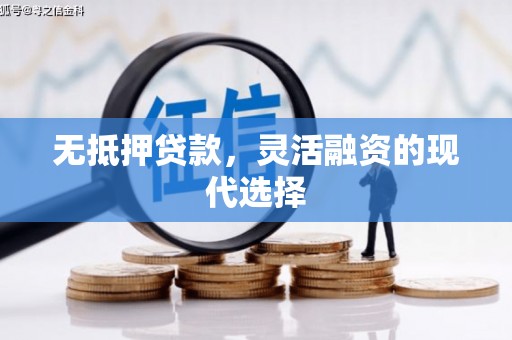 湖北无抵押贷款，灵活融资的现代选择