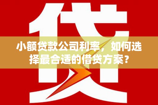 湖北小额贷款公司利率，如何选择最合适的借贷方案？