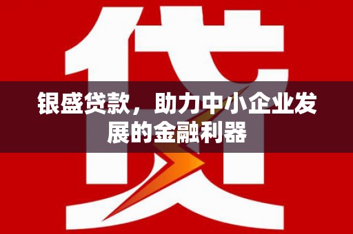 湖北银盛贷款，助力中小企业发展的金融利器