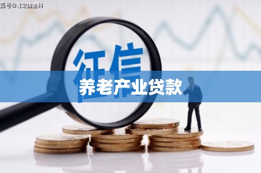 湖北养老产业贷款