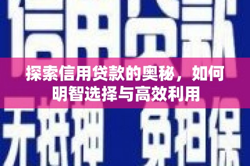 湖北探索信用贷款的奥秘，如何明智选择与高效利用