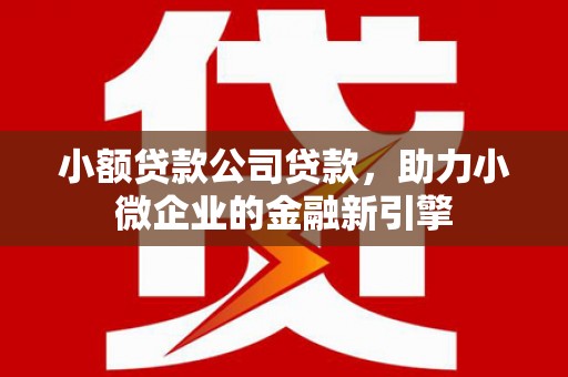 湖北小额贷款公司贷款，助力小微企业的金融新引擎