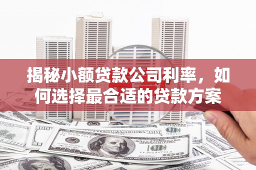 湖北揭秘小额贷款公司利率，如何选择最合适的贷款方案