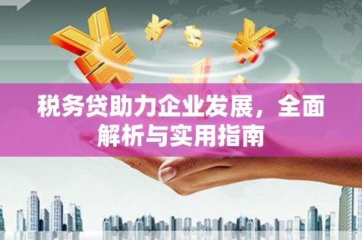 湖北税务贷助力企业发展，全面解析与实用指南