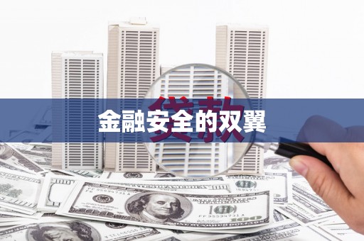 湖北金融安全的双翼