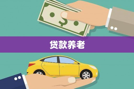 湖北贷款养老