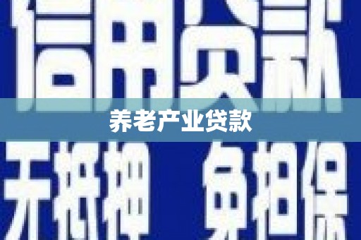 湖北养老产业贷款
