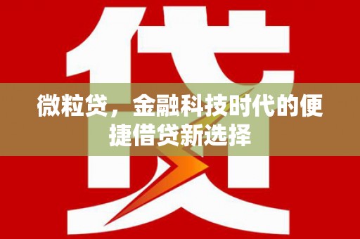 湖北微粒贷，金融科技时代的便捷借贷新选择