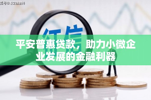 湖北平安普惠贷款，助力小微企业发展的金融利器