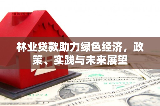 湖北林业贷款助力绿色经济，政策、实践与未来展望