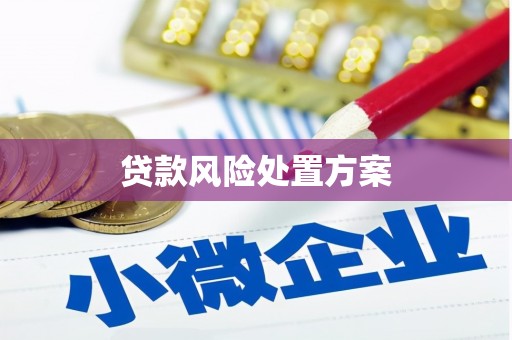 湖北贷款风险处置方案
