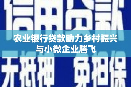 湖北农业银行贷款助力乡村振兴与小微企业腾飞