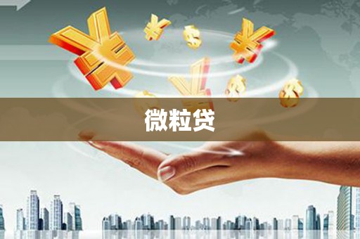 湖北微粒贷