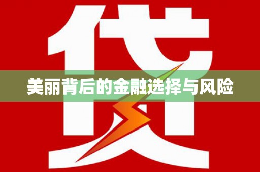 湖北美丽背后的金融选择与风险