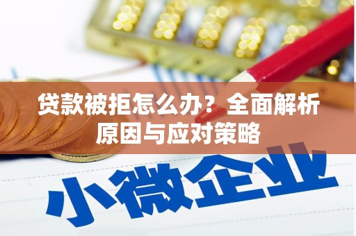 湖北贷款被拒怎么办？全面解析原因与应对策略