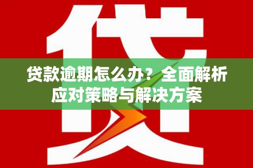湖北贷款逾期怎么办？全面解析应对策略与解决方案