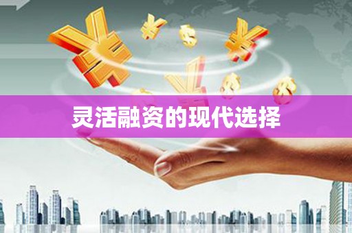 湖北灵活融资的现代选择