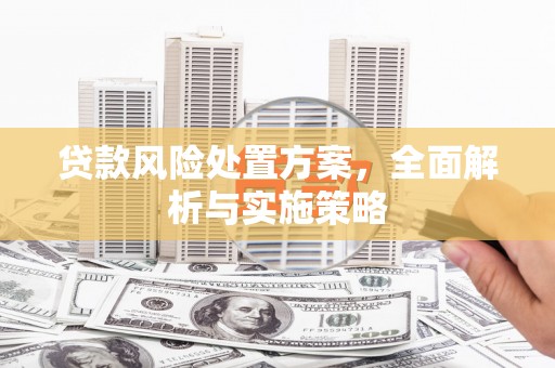 湖北贷款风险处置方案，全面解析与实施策略