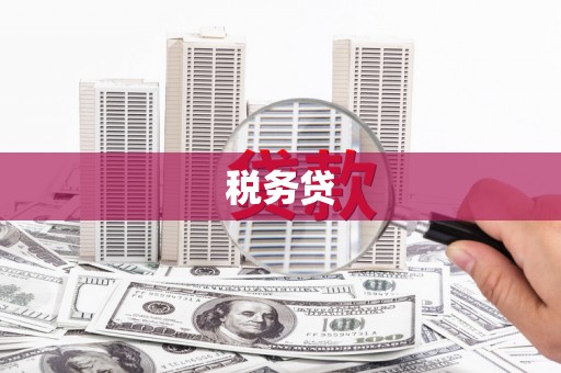 湖北税务贷