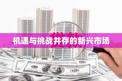 湖北机遇与挑战并存的新兴市场