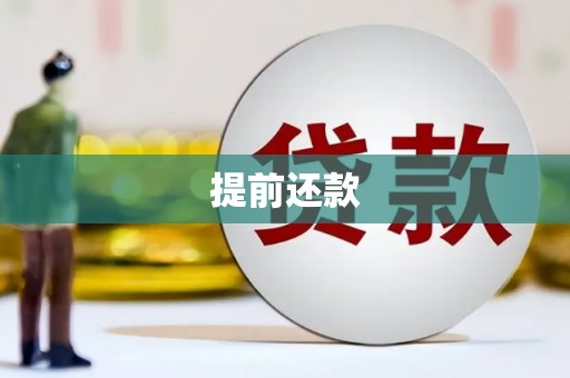 湖北提前还款