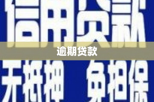 湖北逾期贷款