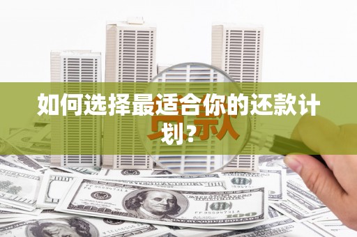湖北如何选择最适合你的还款计划？