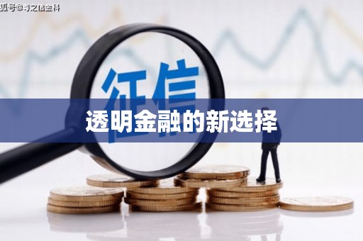 湖北透明金融的新选择