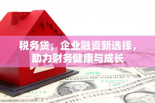 湖北税务贷，企业融资新选择，助力财务健康与成长
