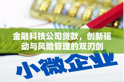 湖北金融科技公司贷款，创新驱动与风险管理的双刃剑
